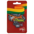 Metal Magnet Lithuania Map Outline with Lituanica 1933 Airplane